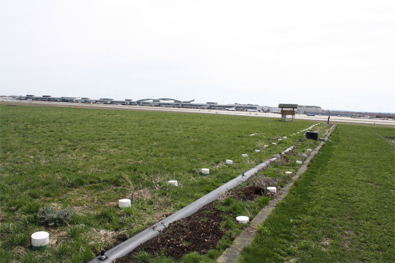 Wetlands field at BNIA