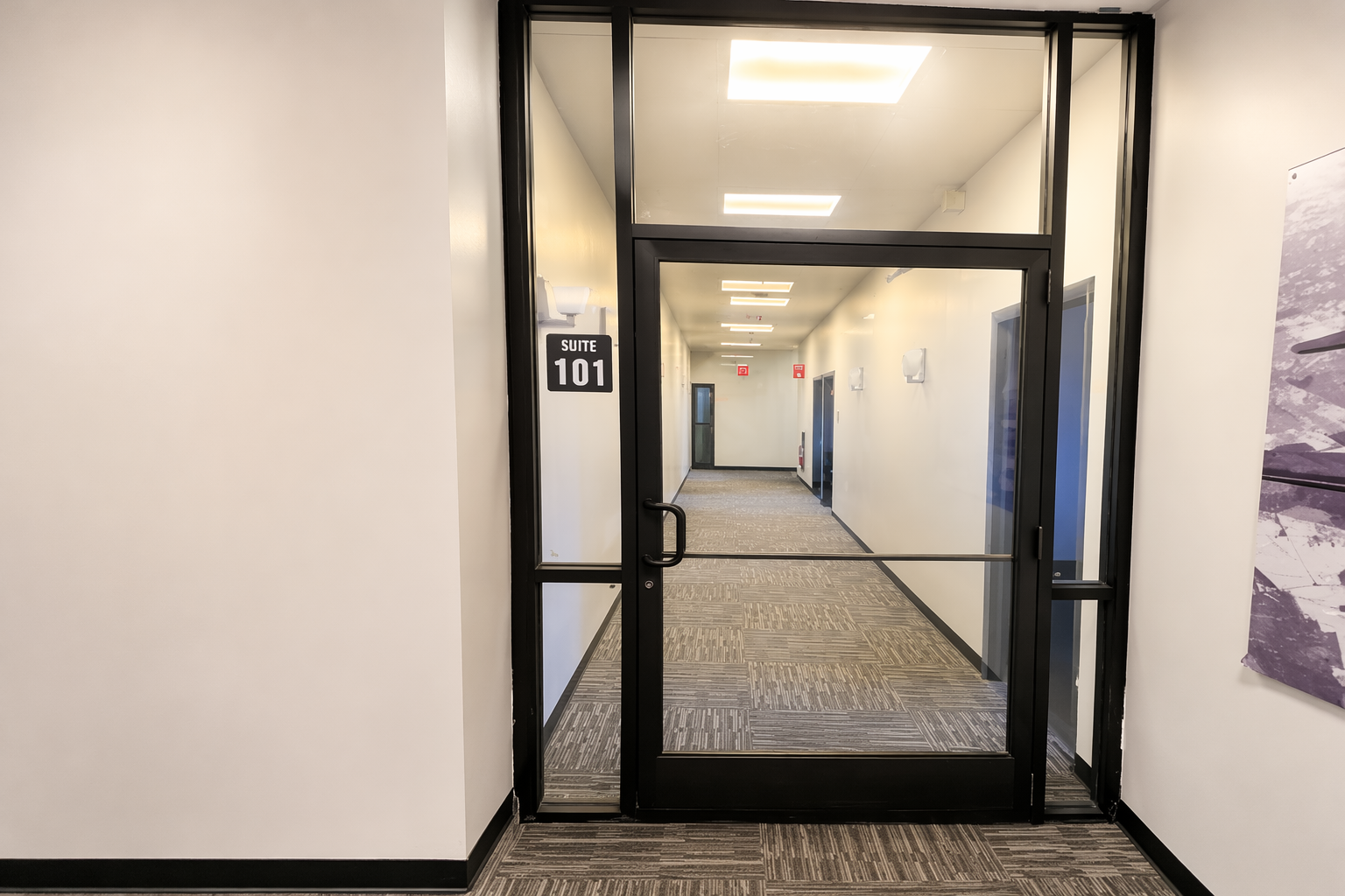 Suite 101-1